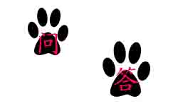 吊裝作業(yè)中幾種吊裝方法