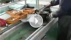 辰力手拉葫蘆車間，手拉葫蘆流水作業(yè)中